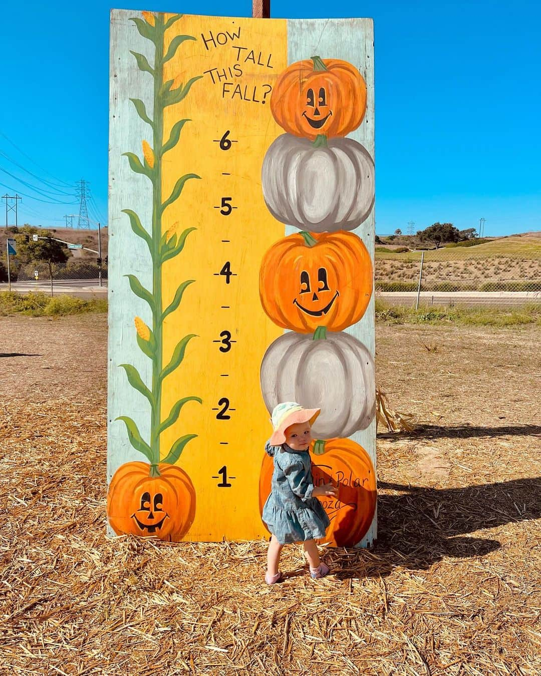 宮崎沙矢加さんのインスタグラム写真 - (宮崎沙矢加Instagram)「Pumpkin Patch 2023 in California🍂🎃🧡🍂🧡🧹 . . . 今年も家族皆んなでパンプキンパッチ🎃に行ってきました 去年はまだミシェルが２ヶ月なってないくらいで、パンプキンよりも小さかったのを思い出す👶🏼🧡 今年は着いた瞬間から色んなところ指さして、ママ！ママ！アレ！とめーちゃくちゃテンション上がってた🤭🫶🏽 そしてここでもハイハイで走り回ってました😅🙌🏽 久しぶりのヤギさん🐐も自分から近づいて行ってよしよししてた。 テディもミシェルも楽しそうで素敵な週末になりました！ 本当ハロウィンの時期のアメリカが好きすぎる🧡🧡🧡 #pumpkinpatch #pumpkinseason #halloween #california #oneyearold」9月25日 14時57分 - sarah___audrey