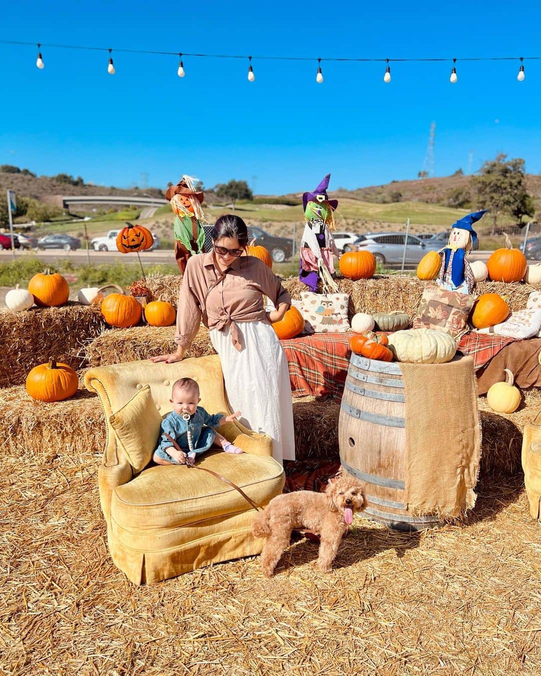 宮崎沙矢加のインスタグラム：「Pumpkin Patch 2023 in California🍂🎃🧡🍂🧡🧹 . . . 今年も家族皆んなでパンプキンパッチ🎃に行ってきました 去年はまだミシェルが２ヶ月なってないくらいで、パンプキンよりも小さかったのを思い出す👶🏼🧡 今年は着いた瞬間から色んなところ指さして、ママ！ママ！アレ！とめーちゃくちゃテンション上がってた🤭🫶🏽 そしてここでもハイハイで走り回ってました😅🙌🏽 久しぶりのヤギさん🐐も自分から近づいて行ってよしよししてた。 テディもミシェルも楽しそうで素敵な週末になりました！ 本当ハロウィンの時期のアメリカが好きすぎる🧡🧡🧡 #pumpkinpatch #pumpkinseason #halloween #california #oneyearold」