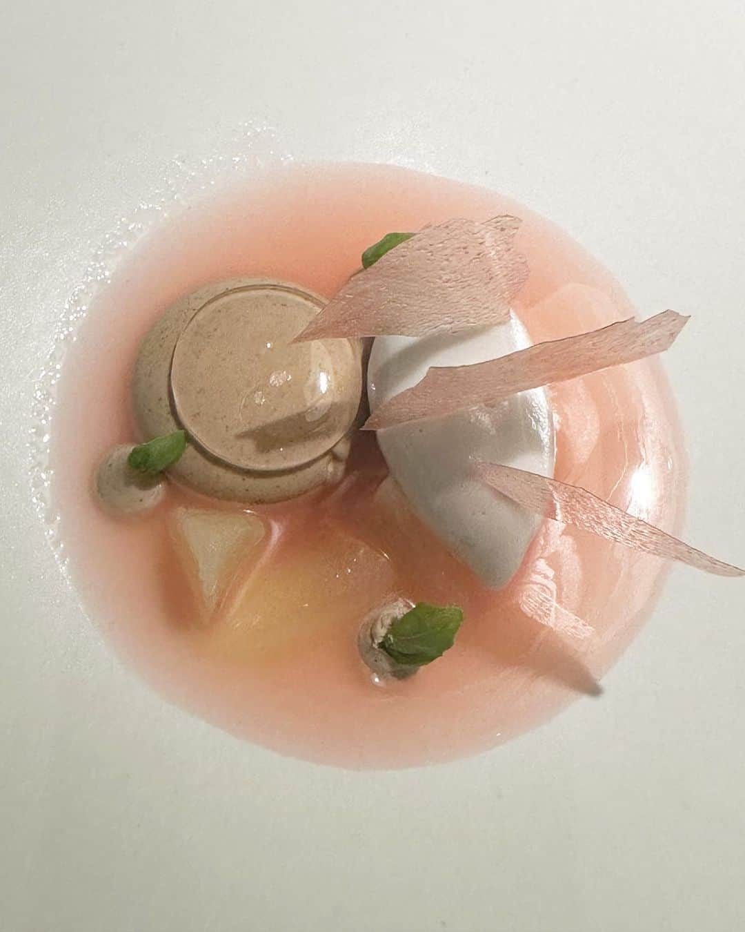 Sachiのインスタグラム：「Vegan dinner at FARO 🍽️ @shiseido_japan」