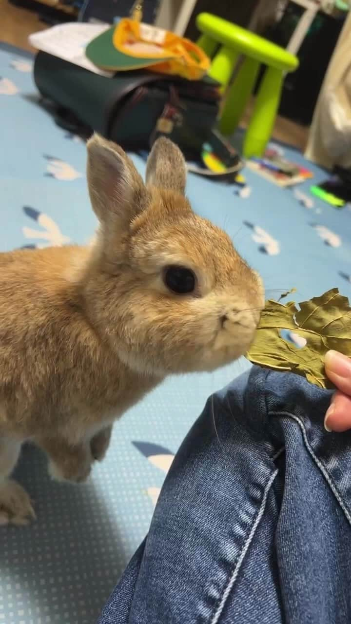 モキュのインスタグラム：「2023/09/26  今夜も無駄に2時間LIVE😂」