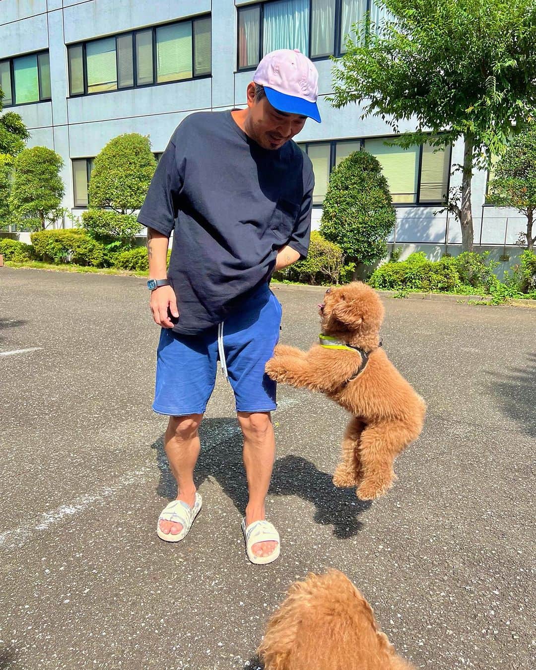 石野卓球のインスタグラム