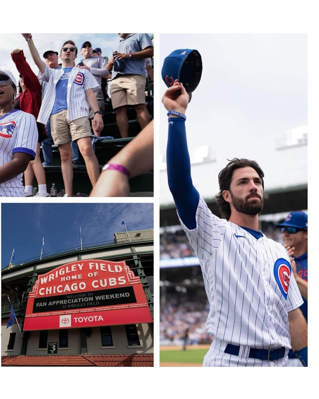 シカゴ・カブスさんのインスタグラム写真 - (シカゴ・カブスInstagram)「Final homestand of the regular season ✅  Homestand recap in photos curated by team photographer @dirksenphoto」9月26日 2時24分 - cubs