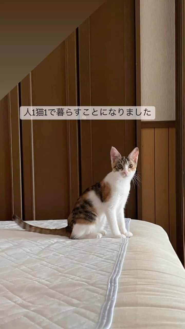 のインスタグラム