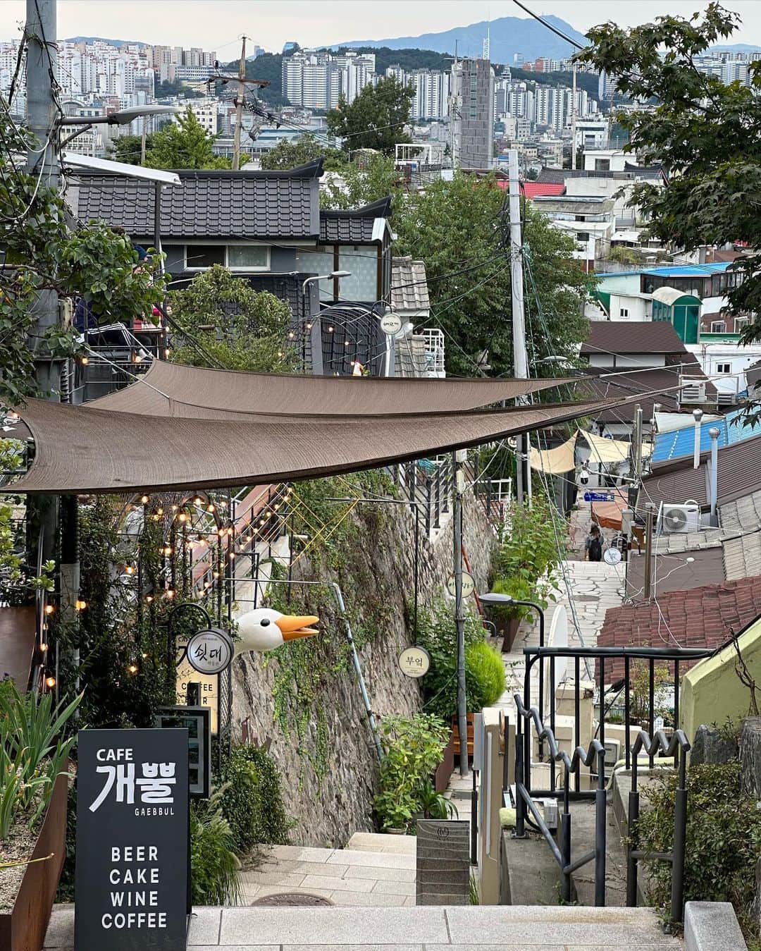 七野李冴さんのインスタグラム写真 - (七野李冴Instagram)「이화마을❁ ❁   イファ村って場所にお散歩しに行ってみた！ ウォールアートがたくさんあって、インスタ映えで日本人にもじわじわ人気だと聞いていたけど アートに関しては全然映えない。笑  ただ街並みが狭くて階段だらけで迷路みたい。 城壁があり、街並みはノスタルジックな韓国のエモさたっぷり。 こんなところに？ って場所においしいドーナツ屋さんが現れて なんだか迷路のような楽しい街。 ふくらはぎはパンパンになるし 何も考えずここに部屋を借りてたらと思うとスーツケース運べなさすぎてゾッとしたけど 冒険にはかなり楽しい街だった！  YouTubeにも載せるので 一緒にイファ村を探検しよう🚶‍♀️  #이화마을 #おさんぽ #韓国情報 #韓国ストリート #韓国一人旅 #韓国旅行記 #risastripinkorea」9月25日 18時25分 - risaaxoxo