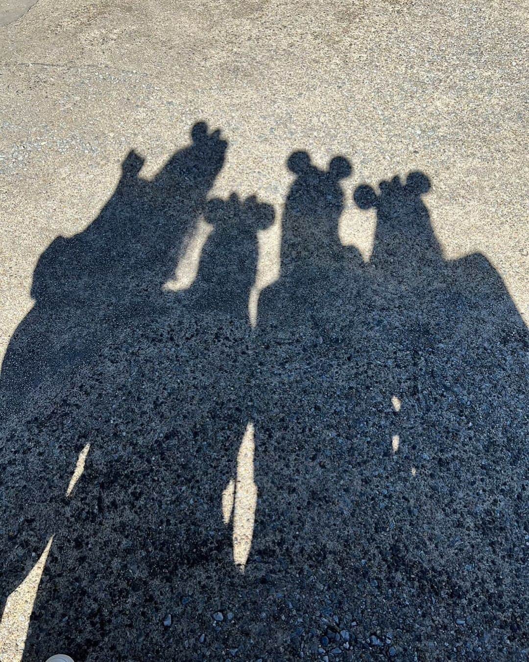 のインスタグラム：「・ 写真どれ載せようかな〜🩵  早く載せないとタイミング逃してしまう… 気が付いたらいつも年末になってるの🤔」