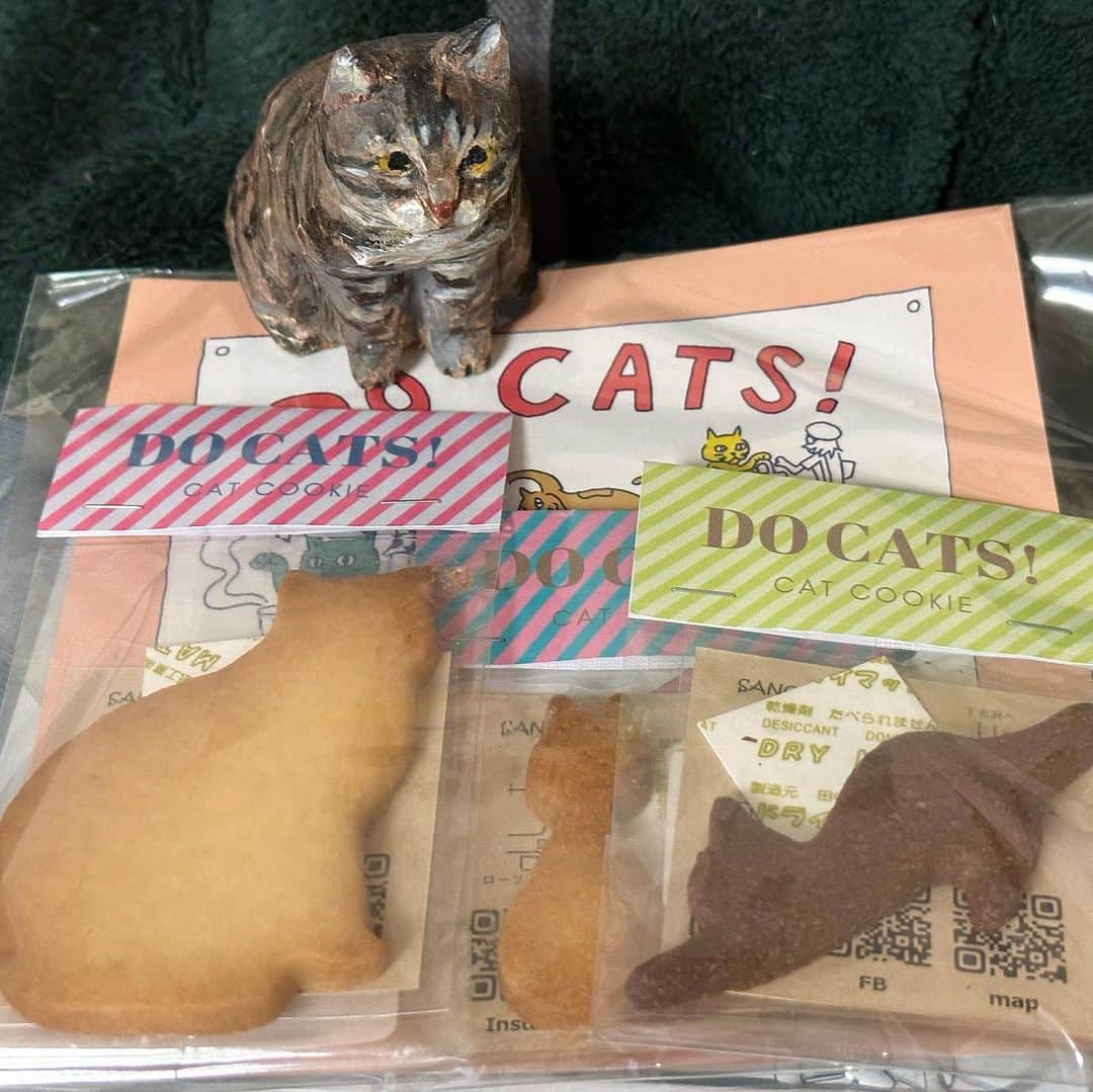 Musashiさんのインスタグラム写真 - (MusashiInstagram)「かわいい猫もの、お買い物。土日のイベント、DO CAT! さんにて。クッキーはムサシさんにお供えした後、人間が美味しくいただきました🐈 #ネコろうぜ #docats」9月25日 18時55分 - _daisy