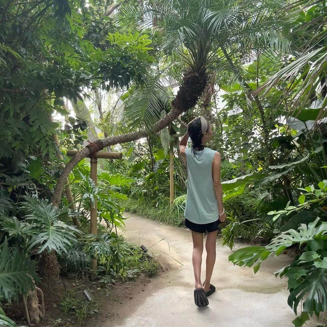 中川愛海さんのインスタグラム写真 - (中川愛海Instagram)「都内から約1時間の千葉にこんなに素晴らしい南国リゾートがあるなんて！ @botanicalpoolclub  贅沢な敷地内にあるホテルの部屋数は21室。  その為だけにあるプールが2つ。 インフィニティープールからは千葉が一望でき、サンセットはもう最高でした。 もう一つのプールでは大人も子供も楽しめるのでまさにpool loverには嬉しい憩いのエリア。  冬は温水にもなり、サウナも2つあるので1年中楽しめちゃうのも嬉しいです！  自然溢れる植物とプール、サウナ、食事など全てがパーフェクトなリゾートがここにあります。  今回は1泊だけでしたが2.3日くらい海外のリゾートにいたようなくらい満足で心も身体もリラックス出来ました！  子供から大人、そしてペットと一緒にも楽しめるので是非素晴らしいひと時を体感してみてください！ #中川愛海 #一日一回カンパイ  #千葉スポット  #botanicalpoolclub  #ボタニカルプールクラブ  #インフィニティプール  #サウナ  #プールリゾート  #リゾートホテル  #ペット可  #お子様連れok  #インスタ映えホテル」9月25日 19時09分 - ami_nakagawa_