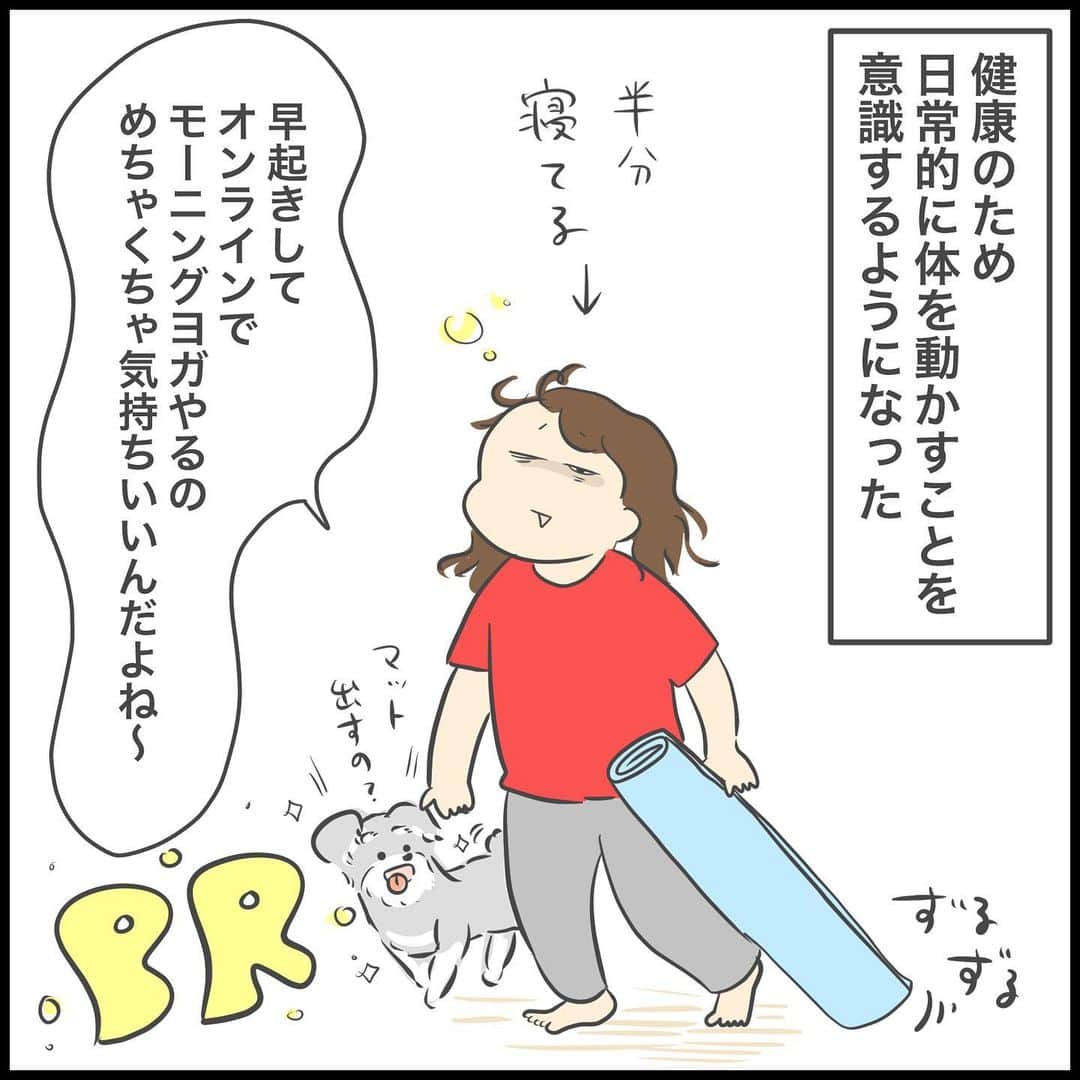 ぽんぽんのインスタグラム