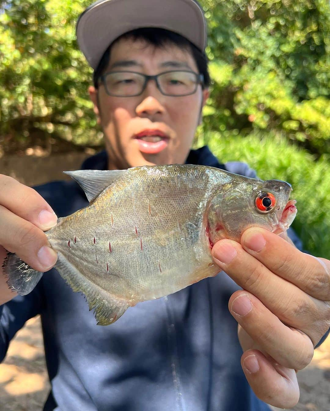 鈴木拓さんのインスタグラム写真 - (鈴木拓Instagram)「釣りわっしょい始まるよー！  ブラジル編  凄いとこだから！  川にイルカも居るんだよー！  幻の魚も釣れてるよー！  日本じまず見かけない魚！  見てねー！  あっ！  マルちゃんめちゃくちゃかわいいよー」9月25日 19時32分 - suzukitaku.drunkdoragon