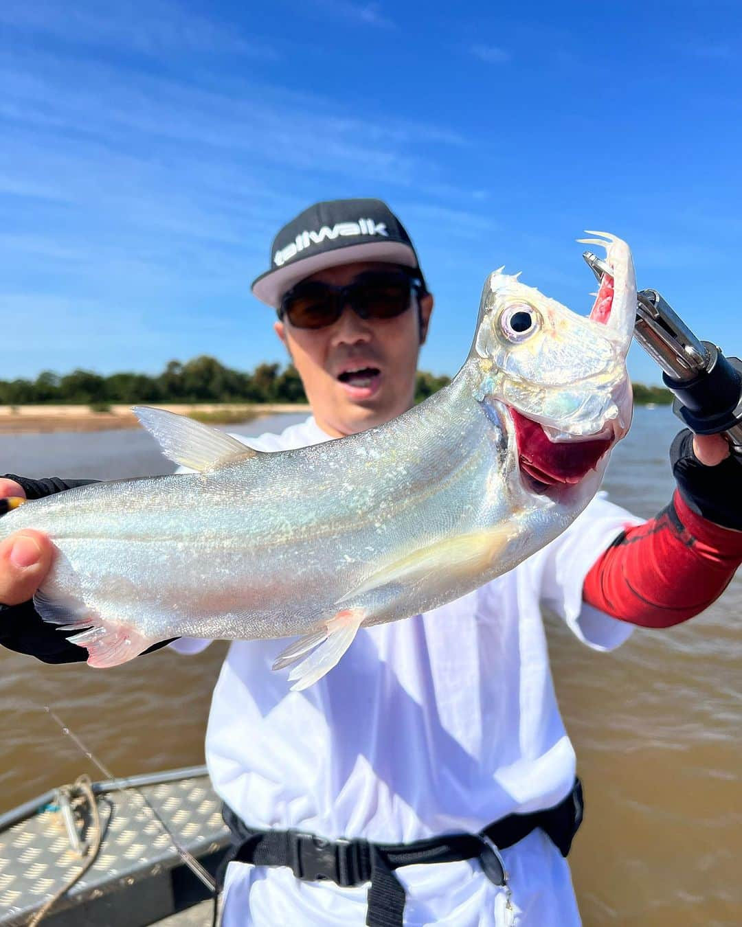 鈴木拓さんのインスタグラム写真 - (鈴木拓Instagram)「釣りわっしょい始まるよー！  ブラジル編  凄いとこだから！  川にイルカも居るんだよー！  幻の魚も釣れてるよー！  日本じまず見かけない魚！  見てねー！  あっ！  マルちゃんめちゃくちゃかわいいよー」9月25日 19時32分 - suzukitaku.drunkdoragon