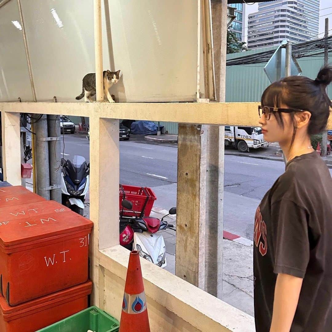 もものインスタグラム：「Thailand🩶 🐈ขอบคุณ ค่ะ🩶」
