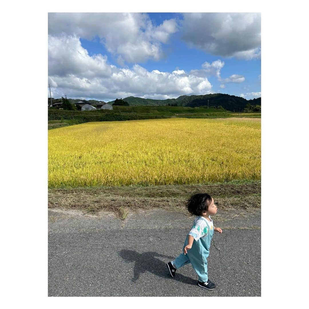 yori designerのインスタグラム：「🌾  インスタ映えを狙う人と 狙わない人  👧🏻👦🏻」