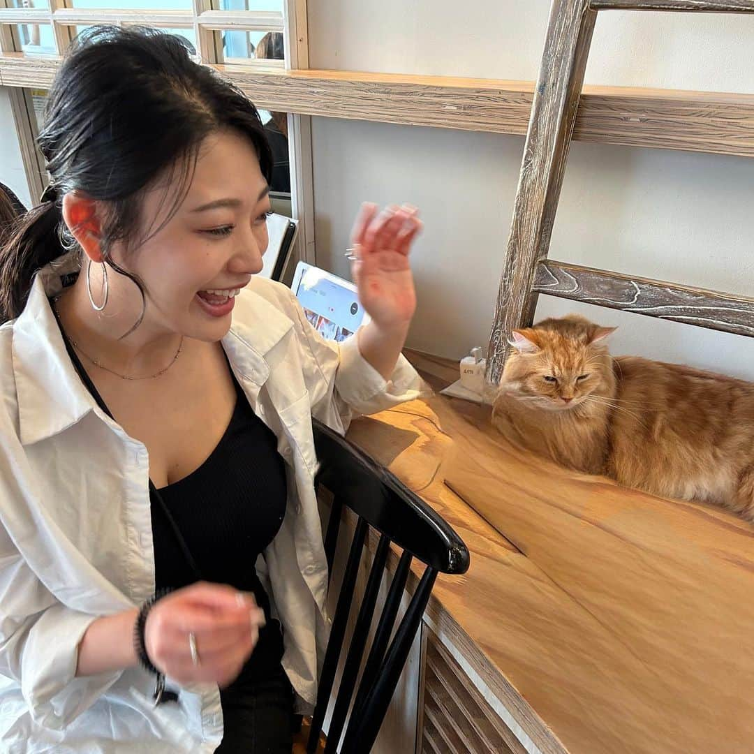 風吹ケイさんのインスタグラム写真 - (風吹ケイInstagram)「猫飼いたいです！！！！」9月25日 19時30分 - kei_fubuki_