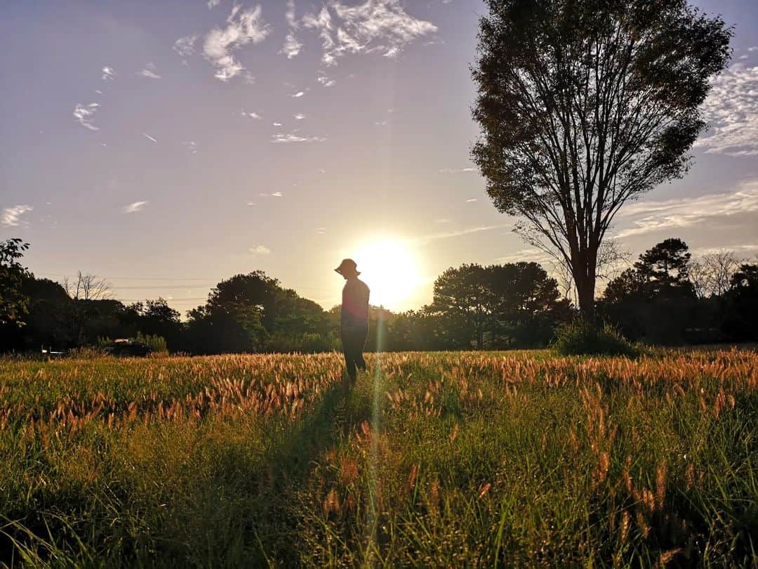 佐藤藍子のインスタグラム：「大変お久しぶりです✨  今年の夏の暑さに忙しくしていたら こんなに時が、、💨  牧草地を、久しぶりにゆっくり満喫した 秋、、大好きな季節🍀  皆さまも、夏疲れに気を付けて 秋を楽しい下さいな✨  #夕焼け#夕陽#牧草地#aikosato」