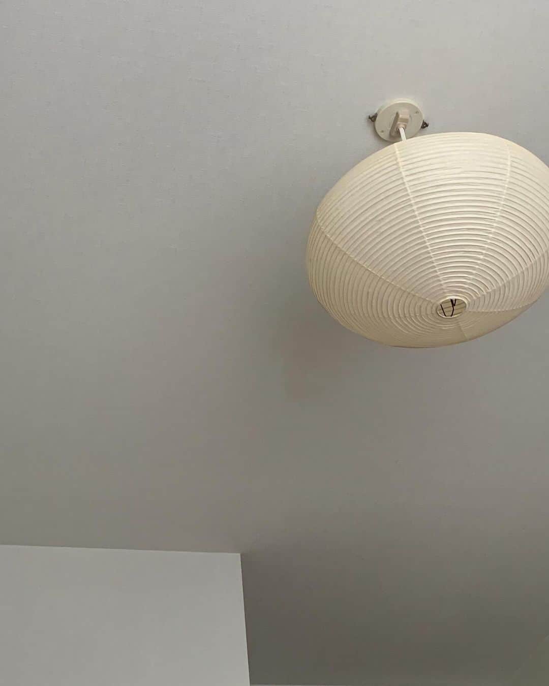 Shiho Sasakiさんのインスタグラム写真 - (Shiho SasakiInstagram)「最近のお家事情🏠  1.2 半年前に発注したakariがやっっと届いてさっそく🏮21Aです。#イサムノグチ 3. @youyokoo から譲ってもらったヒメモンステラ。ぐいぐい成長中🌱 4. @louispoulsen の”Doo wop“ ダークグレーの塗装が部屋に合いそうだなぁと思い、お迎え💡 5.ベッドにてまるで人間のように寝る🐶 6.kiaris vintageで買ったお気に入りのフラワーベース💐  #お家事情 #インテリア #homesweethome」9月25日 19時53分 - shihomurata0718