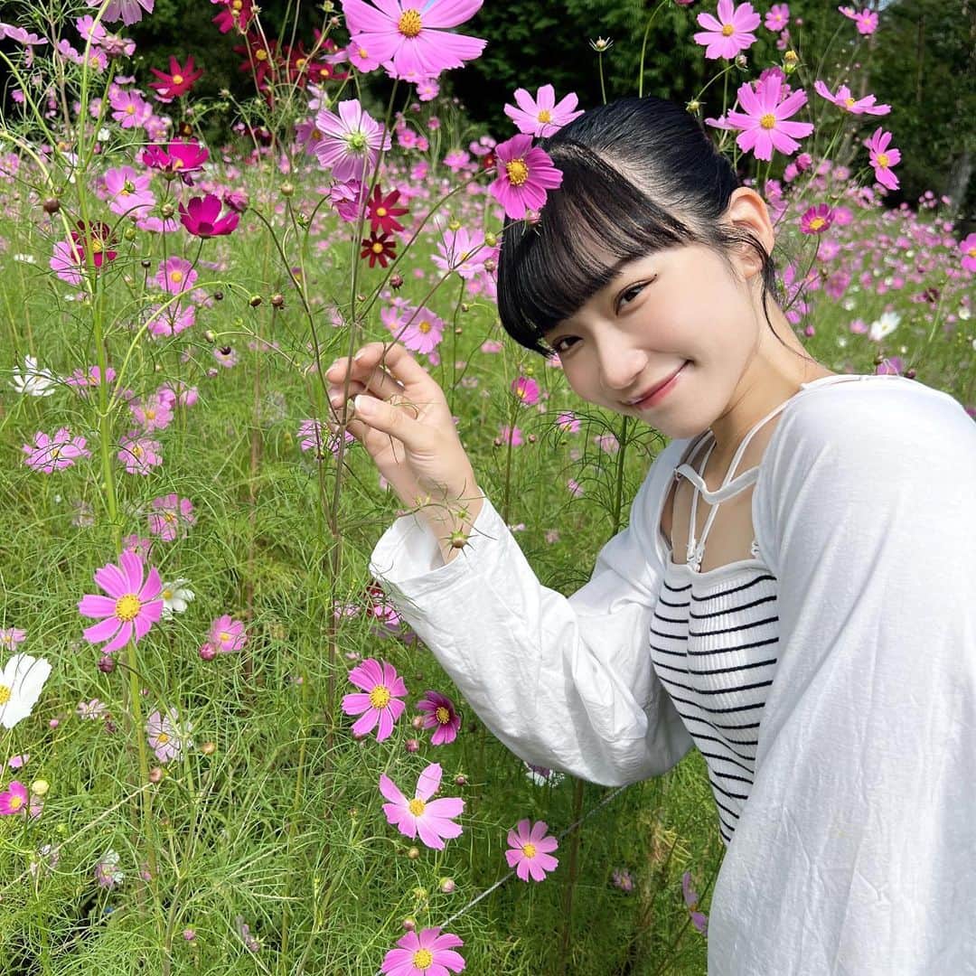 馬渕恭子さんのインスタグラム写真 - (馬渕恭子Instagram)「お花畑。🌷´-」9月25日 19時57分 - kyoko414_mh