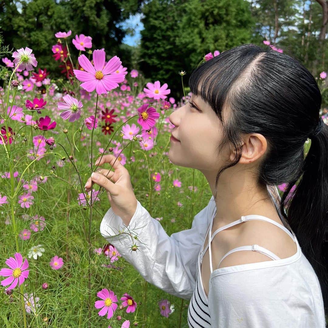 馬渕恭子のインスタグラム：「お花畑。🌷´-」