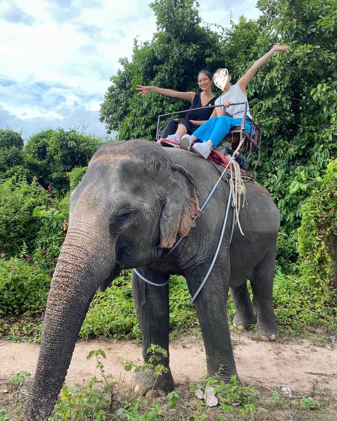 モラレスしれなさんのインスタグラム写真 - (モラレスしれなInstagram)「🌴🍹 タイの🐘に乗ってきたー！🍌  めちゃくちゃ賢くて優しくて頑張り屋さんで可愛かった🫶🏼 7歳やって〜⭐️♂︎  🟨のシールは🥥ジュース無料券‪𐤔‪𐤔  #pattayaelephantvillage #象  #ココナッツジュース #動物園」9月25日 20時06分 - keinarosario