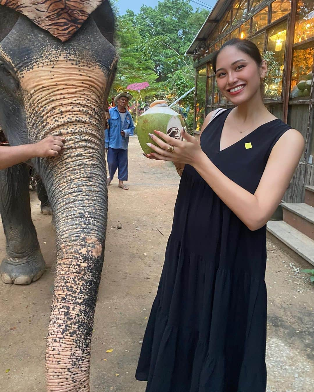 モラレスしれなさんのインスタグラム写真 - (モラレスしれなInstagram)「🌴🍹 タイの🐘に乗ってきたー！🍌  めちゃくちゃ賢くて優しくて頑張り屋さんで可愛かった🫶🏼 7歳やって〜⭐️♂︎  🟨のシールは🥥ジュース無料券‪𐤔‪𐤔  #pattayaelephantvillage #象  #ココナッツジュース #動物園」9月25日 20時06分 - keinarosario