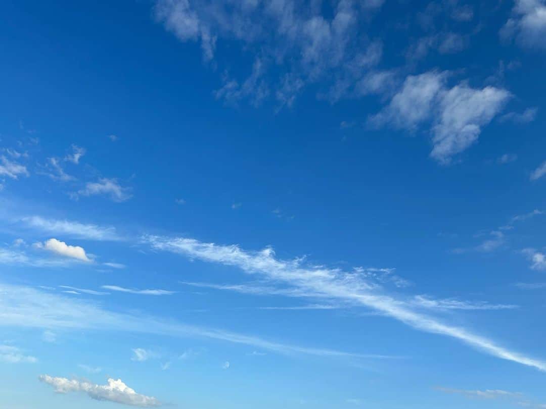 青野紗穂のインスタグラム