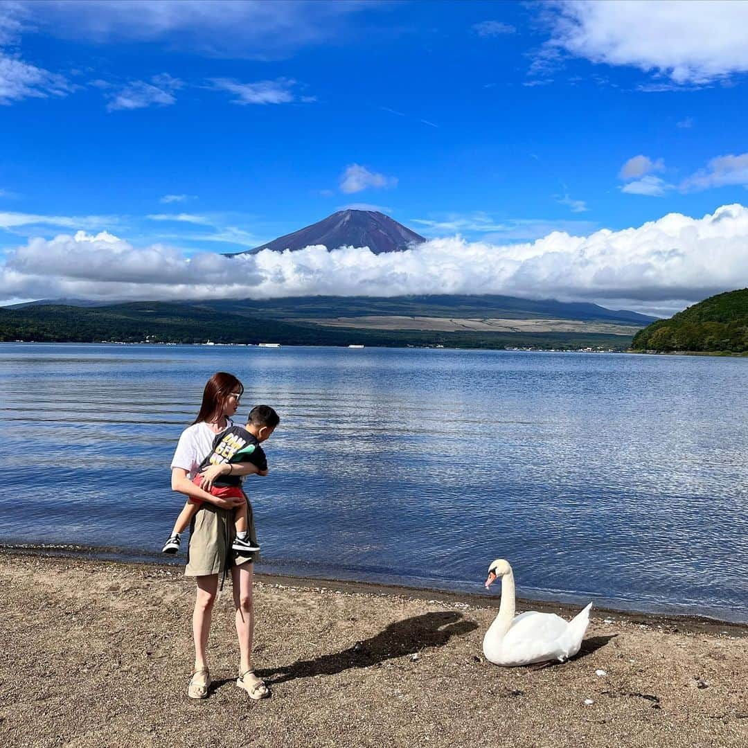 大寺かおりさんのインスタグラム写真 - (大寺かおりInstagram)「山中湖の思い出🦌🦢 朝夕のお散歩が気持ち良かった☺️ あちこちに動物がたくさんいて 毎日シカや白鳥、鯉、カモなどに会えました✨ . お散歩中にリスも何度か見かけましたが 息子はアリに夢中でした🐜 . 動物にも深々とお辞儀する系男子に 育っています👦 . #山中湖 #富士山 #photo #鹿は車窓から見ました #男の子ママ #1y8m #手に持ってるのは山手線」9月25日 20時35分 - kaori_ootera