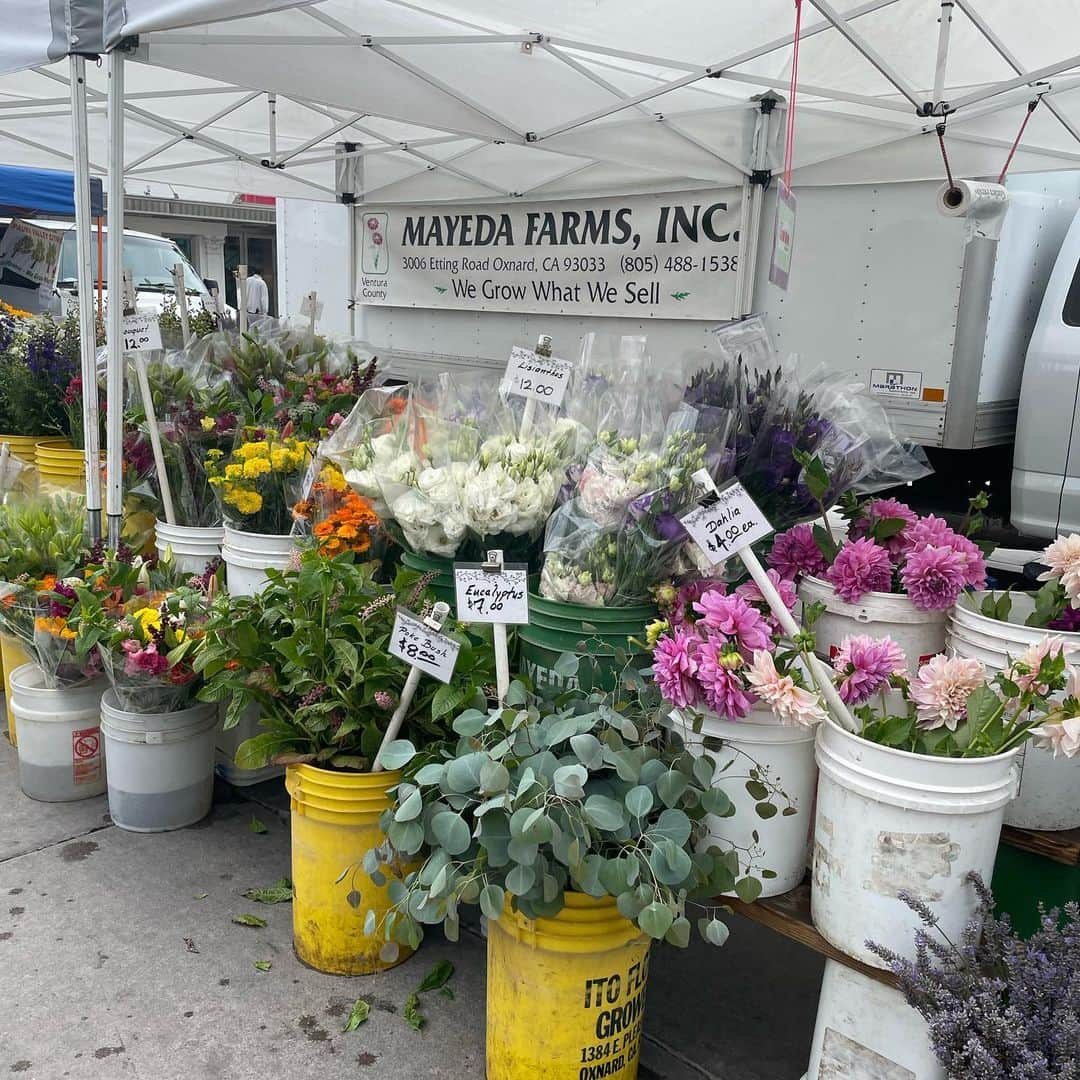 相原百花さんのインスタグラム写真 - (相原百花Instagram)「📍Santa Monica -サンタモニカ-  普段はどんだけギリギリまで寝れるか挑戦してるけど、旅行の時は特別🏃‍♀️  サンタモニカの朝ランニングは最高に気持ちよかった♡  マーケットのお花、ドーナツモーニング寄り道🫧 マップも見ずに走って偶然出会うことが新鮮で良い🙆‍♀️  ショップに入ってワクワクが止まらなかったのが @anthropologie 🪡  洋服だけじゃなくて、食器とか雑貨もタイプでもぉ、本当に楽しかった🤍  #losangeles #california #santamonica   .  #ロサンゼルス#ロサンゼルス旅行#ロサンゼルス観光#ロサンゼルスグルメ#ロサンゼルスカフェ#ロサンゼルスアパレル#ロサンゼルス情報#ロサンゼルス#アメリカ旅行#アメリカ旅行記#サンタモニカ#朝ランニング  .  #旅行コーデ#ウォールアート#旅行好き女子#旅行が好き#旅行好きと繋がりたい#旅行好きな人と繋がりたい#ファッション好きな人と繋がりたい#服が好きな人と繋がりたい#洋服好きな人と繋がりたい#高身長女子#高身長女子コーデ#高身長コーデ#旅コーデ#アート巡り」9月25日 20時42分 - mo__95__6