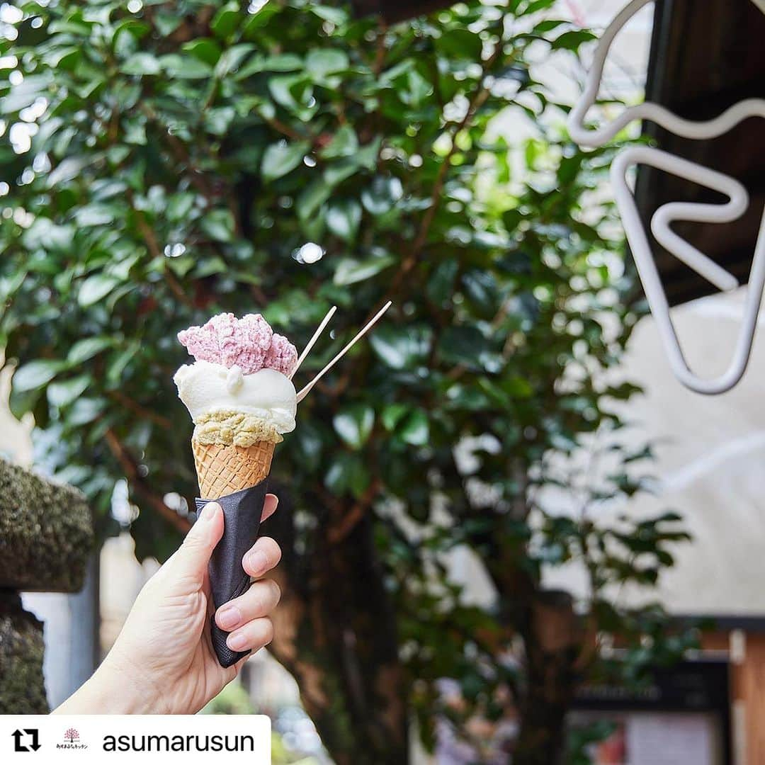 ヤミーさんのインスタグラム写真 - (ヤミーInstagram)「心から感謝します！！ 雨模様の中、イベントにお越し下さったみなさま、ほんとうにありがとうございました😊  私たちの活動はまだまだヨチヨチ歩きですが、確実に輪が広がっていっています。  “できる人ができることをできるだけ” 無理をせず、でも確実に前に進んで、生産者も消費者も美味しく楽しい未来になるように活動していきます！  #Repost @asumarusun with @use.repost ・・・ 1周年イベント「できたてヤマモモジェラートとバインミー」大盛況！ ご来場くださったみなさま、ありがとうございました！  お天気が微妙でしたが、イベント開始の11：00にピタッと雨が上がり、今年もオープンから閉店まで、次々とお客様が来店。 バインミーとソーダとジェラートを楽しんでいただきました。  ピクルスやパスタソース、ドライフルーツなどの加工品もたくさんの方に買っていただき、うれしかったです。 イベントに来てくださるみなさま、協力企業、スタッフとしてお手伝いしてくれる人たちのおかげで、１周年を迎えることができて、本当に感謝です。  これからも、「もったいないをおいしいに変えるフードロス活動」を続けていきますので、今後とも、どうぞよろしくお願いいたします。  今回販売した商品のレシピや活用法などのお役立ち情報をこちらのインスタでアップしていきます。 ぜひフォローしていただけるとうれしいです。  ジェラートは、今回作ったぶんがなくなるまで、引き続きasatte @asatte_no_gelato で販売していただきます。 新商品の「焼きナスとほうじ茶のジェラート」は大人気で残りわずか。 リニューアルしてさらにおいしくなった「手摘みヤマモモジェラート」は今週中くらいで完売しそうなので、まだ食べていない方は、ぜひ谷中のasatteへ😊  次回は、11月にある企業とのコラボイベントを計画中です。 詳細が決まり次第、こちらでお知らせするので、お楽しみに！  -------- ご協力いただいたみなさま、ありがとうございました！ 横田農場さん @yokota.farm  小山農園さん @misao831  さっちゃん農園 @zkn_sachan  調理:金子文恵さん @fumie823_cooking  撮影:さくらいしょうこ @sakusaku_chan  会場:asatte @asatte_no_gelato  --------  #やまもも　#ヤマモモ　#ヤマモモジェラート　#できたてジェラート　#バインミー　＃サンドイッチ　#ピクルス　#asatte　#アサッテ　#あさって　#無添加ジャム　 #農家のだいどこ　#あすまるさんキッチン　#フードロス　#食品ロス　#フードロス削減　#サスティナブル　#sdgs #食育　#アップサイクル　#社会貢献　#エシカル　#料理研究家　#もったいない　#もったいないをおいしいに #ヤミー　@ym_3stepcooking #ほりえさわこ @horiehiroko.sawako #中元千鶴 @chizuru.nakamoto」9月25日 20時40分 - ym_3stepcooking