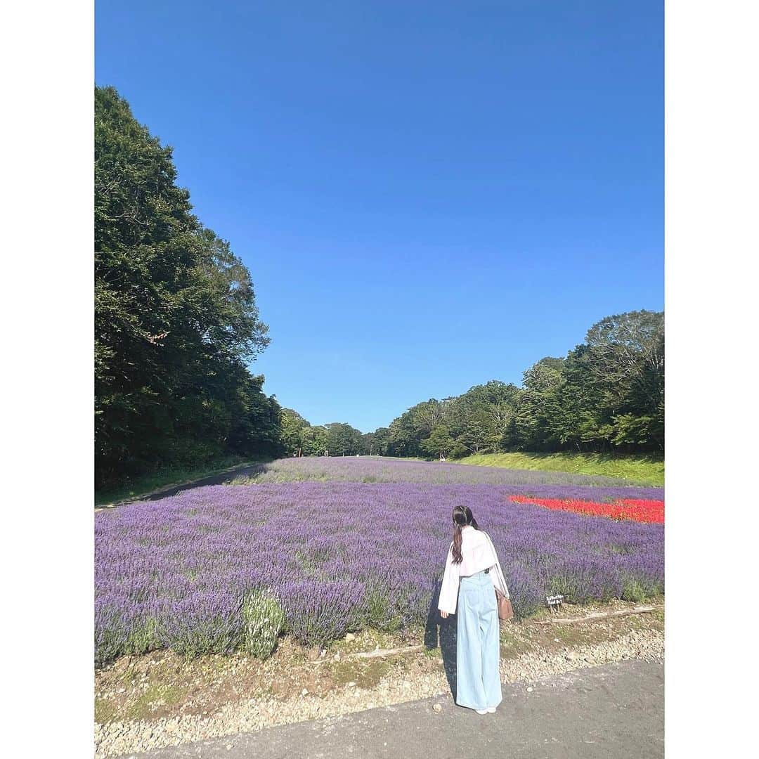 のインスタグラム：「＊ ラベンダー畑🪽 広くて綺麗で気持ちよかったな〜!  みなかみ町、とても楽しかったです！ また大とろ牛乳食べたい…!  #旅番組の向こう側 #YouTube ぜひご覧ください！」