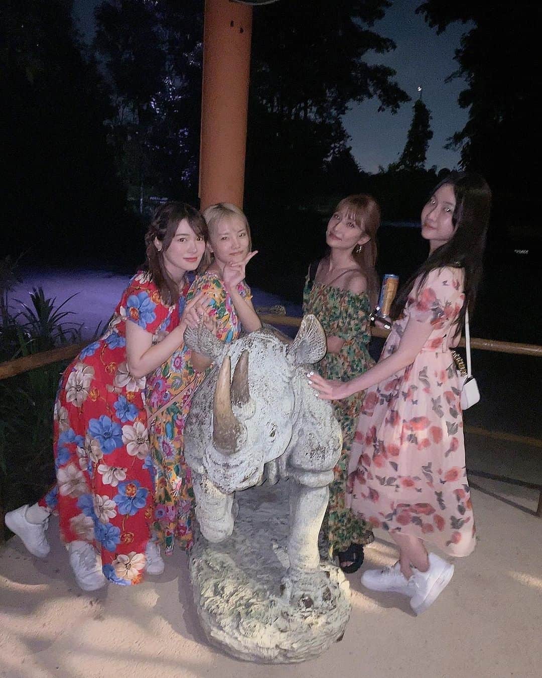 橋本紗奈さんのインスタグラム写真 - (橋本紗奈Instagram)「🦒ナイトサファリ🦏 . . . 可愛い動物いっぱいいた...!! モモンガのお尻可愛かった...🍑 . . 自分が撮った写真見直したらぶれすぎててなんだかわからないや笑笑😇 . . #ナイトサファリ　#シンガポール #シンガポール旅行 #女子旅 #animal #nightsafari」9月25日 20時55分 - hashimoto_sana
