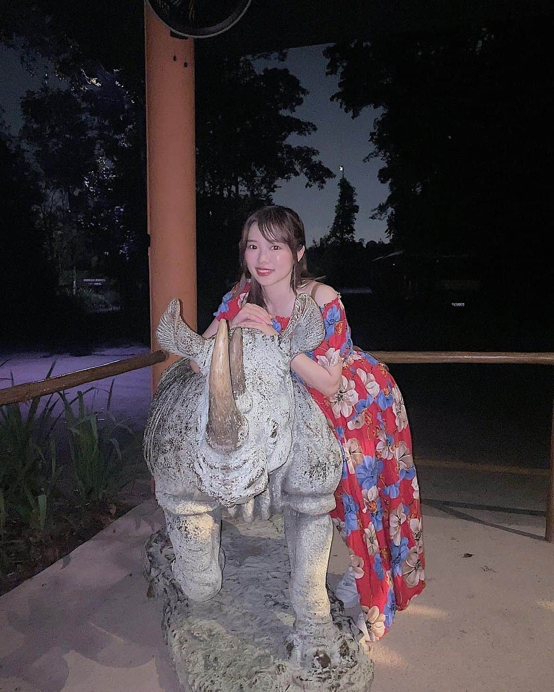 橋本紗奈のインスタグラム：「🦒ナイトサファリ🦏 . . . 可愛い動物いっぱいいた...!! モモンガのお尻可愛かった...🍑 . . 自分が撮った写真見直したらぶれすぎててなんだかわからないや笑笑😇 . . #ナイトサファリ　#シンガポール #シンガポール旅行 #女子旅 #animal #nightsafari」