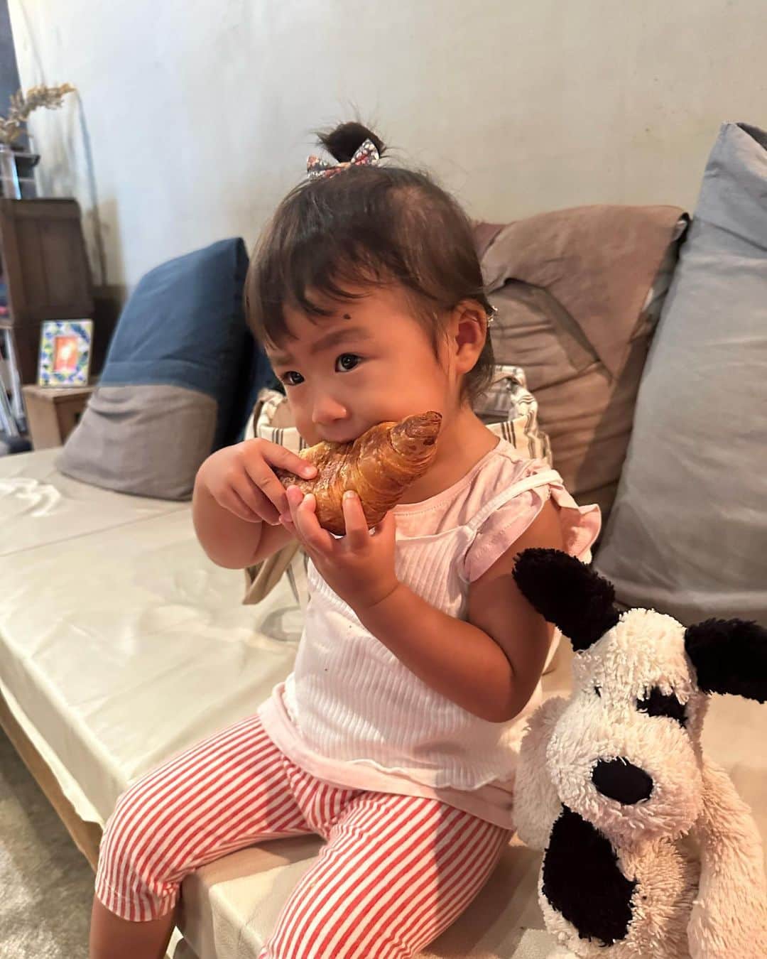 AYAさんのインスタグラム写真 - (AYAInstagram)「_ 誰も教えてないのにめっちゃ ✌🏽の仕方がギャルな1歳児  この日は🍞いっぱい買って朝活 ハードパン🥖も自分で噛みちぎって 食べられるようになったなぁ🤭 でもやっぱり一番大好きなのは クロワッサン🥐です  音楽が聞こえるといつもノリノリな Movieはストーリーで めっちゃ好評やったので投稿にも❤️‍🔥 食べてる時やから立ったりしいひんけど 家の中とか動いて良い場所やったら 踊ったりするお調子者です💃  保育園の体操もすぐ覚えて 全部やるから感心する 子どもの力ってほんますごいな〜  #詩珠diary」9月25日 21時27分 - a.y.hana_12o6