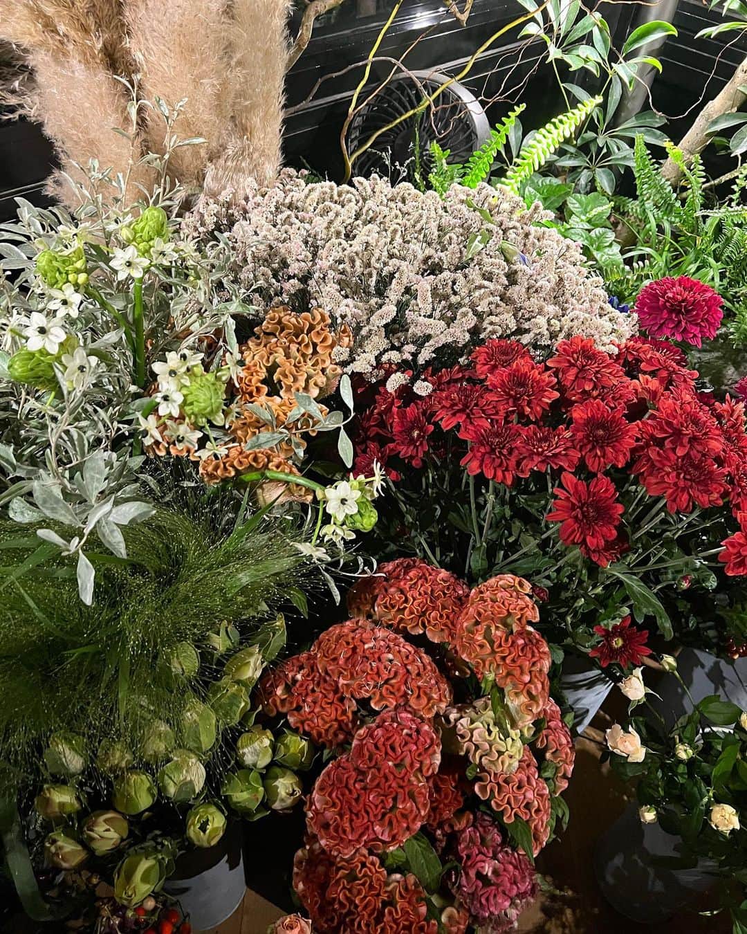 大山愛未さんのインスタグラム写真 - (大山愛未Instagram)「『EBISU FLOWER PARK 』💐  住所非公開の完全会員制 お花BAR🍸  お店は2000本以上の生花で溢れていて、お花のいい香りで癒されました☺️  この前いけばなで使った秋のお花"ケイトウ"も 沢山あって可愛かった〜✨  季節ごとに楽しめる完全プライベートな空間で 安らぎのひと時を過ごせました🫶  みゆさん @miyuu_bigbaby と一緒に行けて嬉しかったな🥰  @ebisuflowerpark #ebisuflowerpark #恵比寿フラワーパーク #えびふら #エビフラ #efp」9月25日 21時30分 - aimi_ooooo