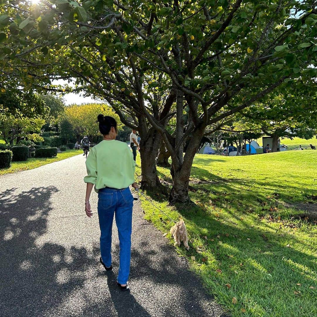 川島はるなのインスタグラム：「... オフ🐶🌳 暑さが少し落ち着いて ようやく秋の近づきを感じた1日でした🤎  #ノジマステラ #ノジマステラ神奈川相模原  #マルプー #ポポ」