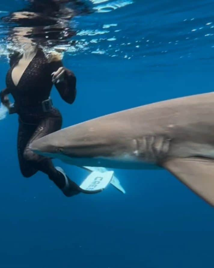 Dana Hammさんのインスタグラム写真 - (Dana HammInstagram)「A colorful, action-packed photo dump from the #frenchpolynesia #borabora #moorea #rangiroa Which one made you smile? #blackpearl #blacktipshark #cressi」9月26日 3時30分 - danahammofficial