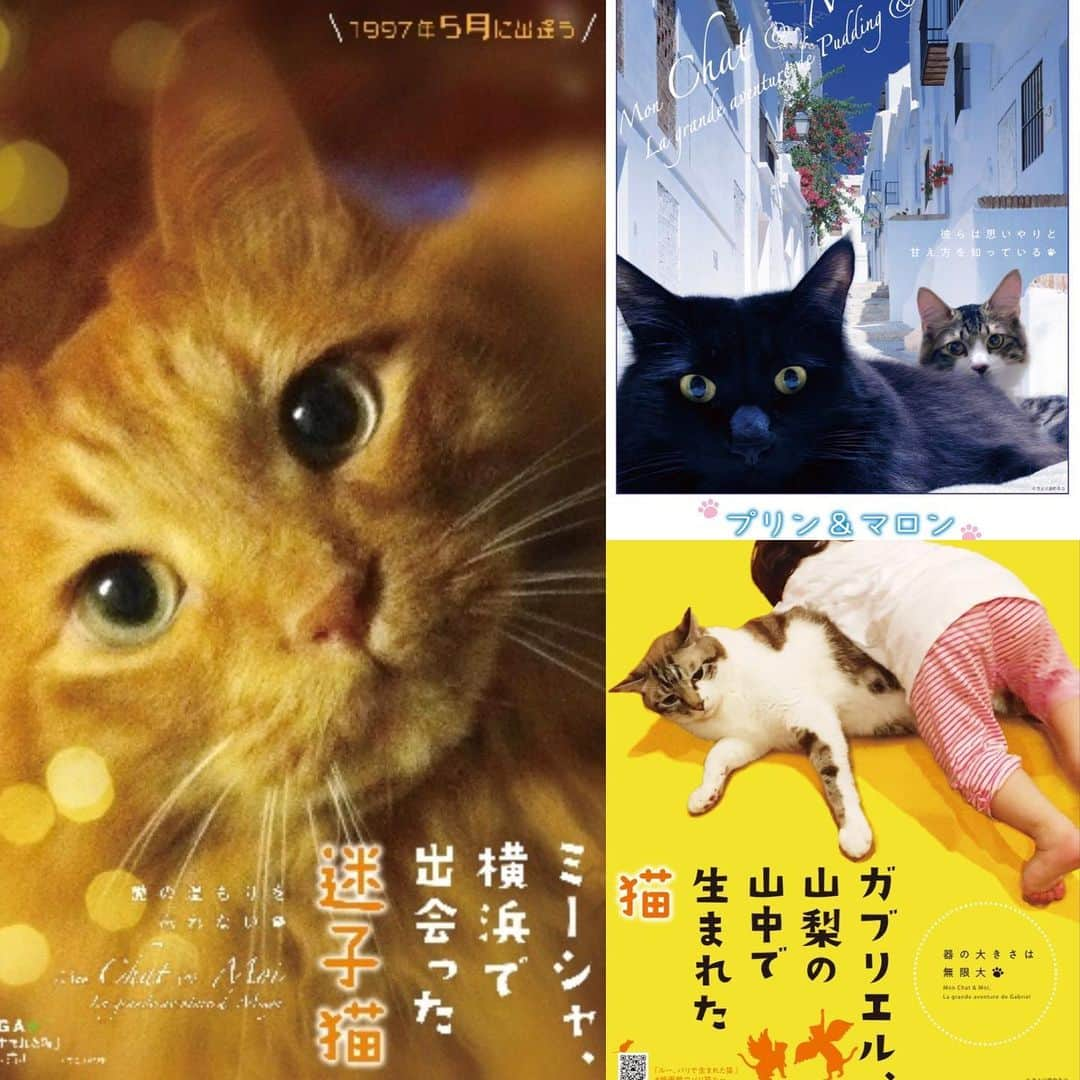 伊藤さとりのインスタグラム：「『ルー、パリで生まれた猫』 猫好きに限らず、犬好き、ひいては動物好きに見て欲しい愛くるしい画に込められた命について今一度、考える生命の物語。にしても猫は可愛い！  写真は映画公式さんが 私の猫でポスターを作ってくれたもの。  #ルーパリで生まれた猫 #猫好きと繋がりたい #cat #ねこ映画  ぴあアプリ映画評ですよー☟ 🐈🐈‍⬛  https://lp.p.pia.jp/article/pilotage/288844/index.html」