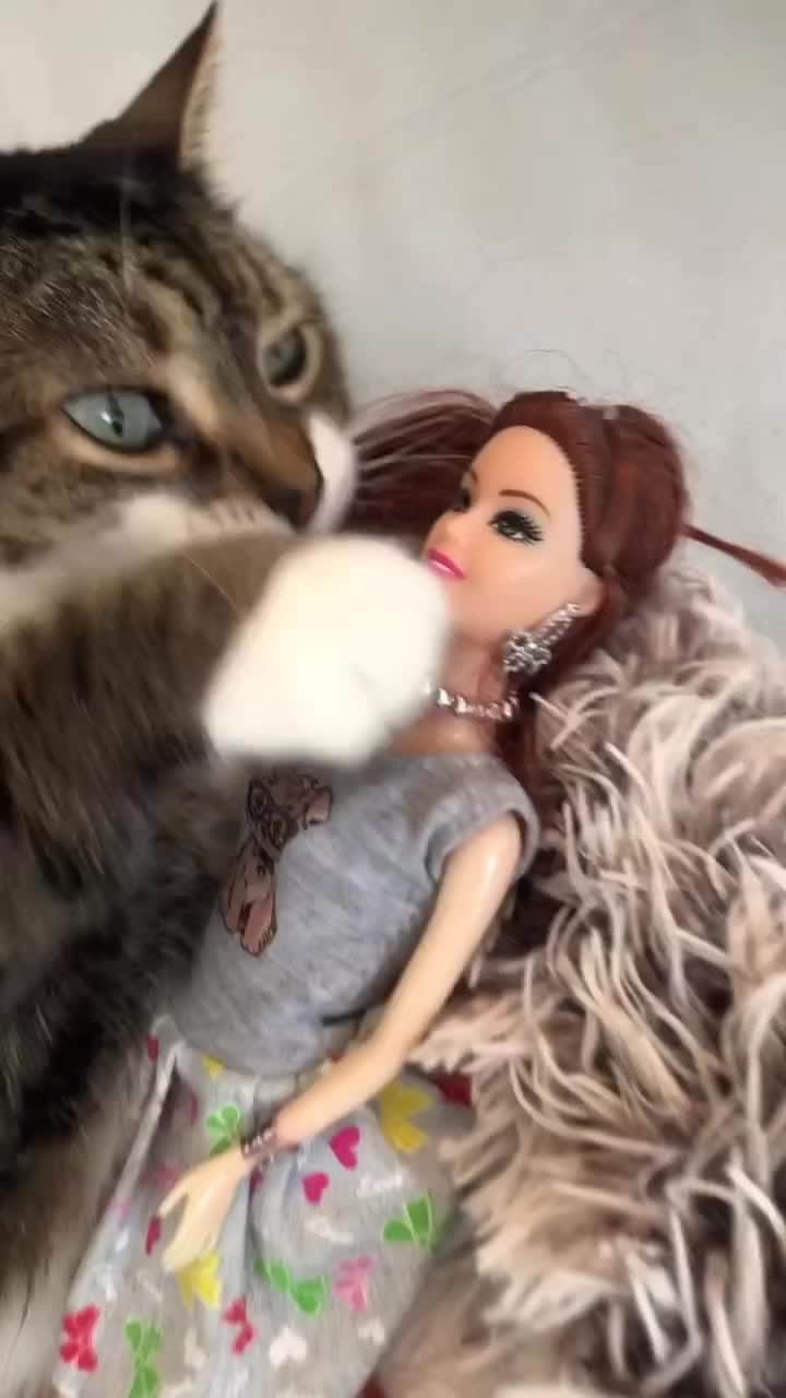 Cats of Instagramのインスタグラム：「From @poupeeandfriends: "Poupée is very fond of Barbie❣️" #catsofinstagram」