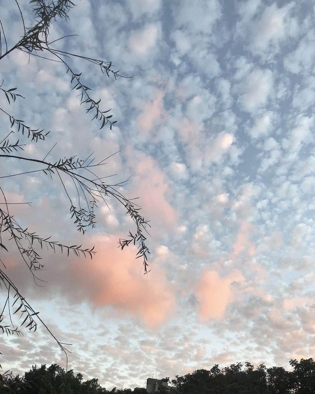 Chiyono Anneのインスタグラム：「Looking forward to the Autumn skies this year 🍬」
