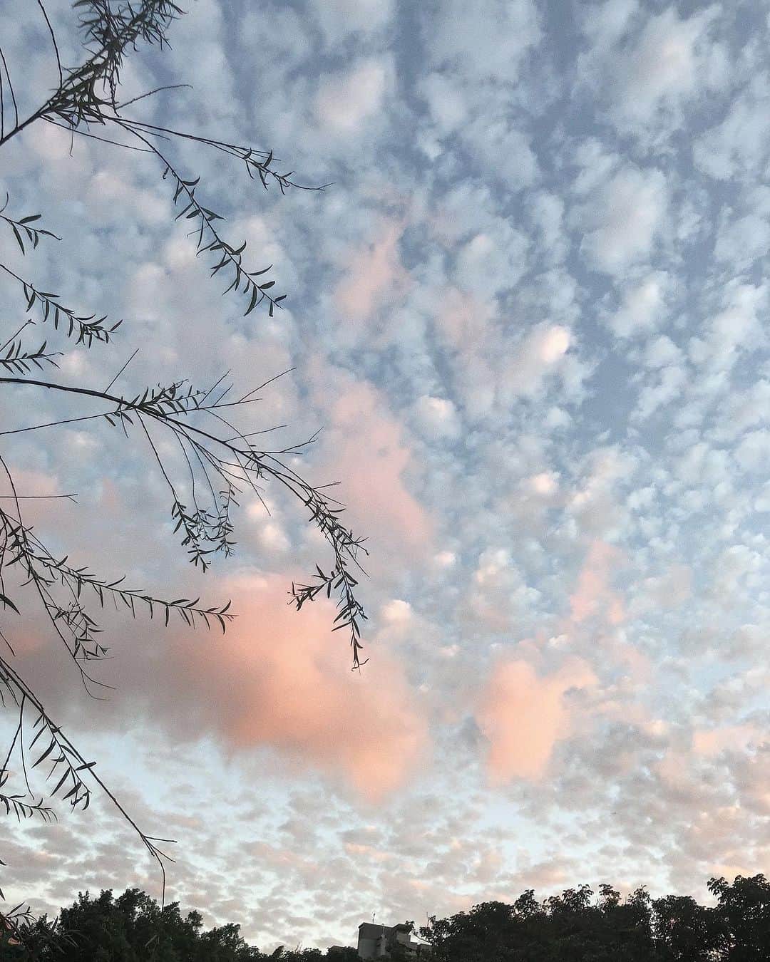のインスタグラム：「Looking forward to the Autumn skies this year 🍬」