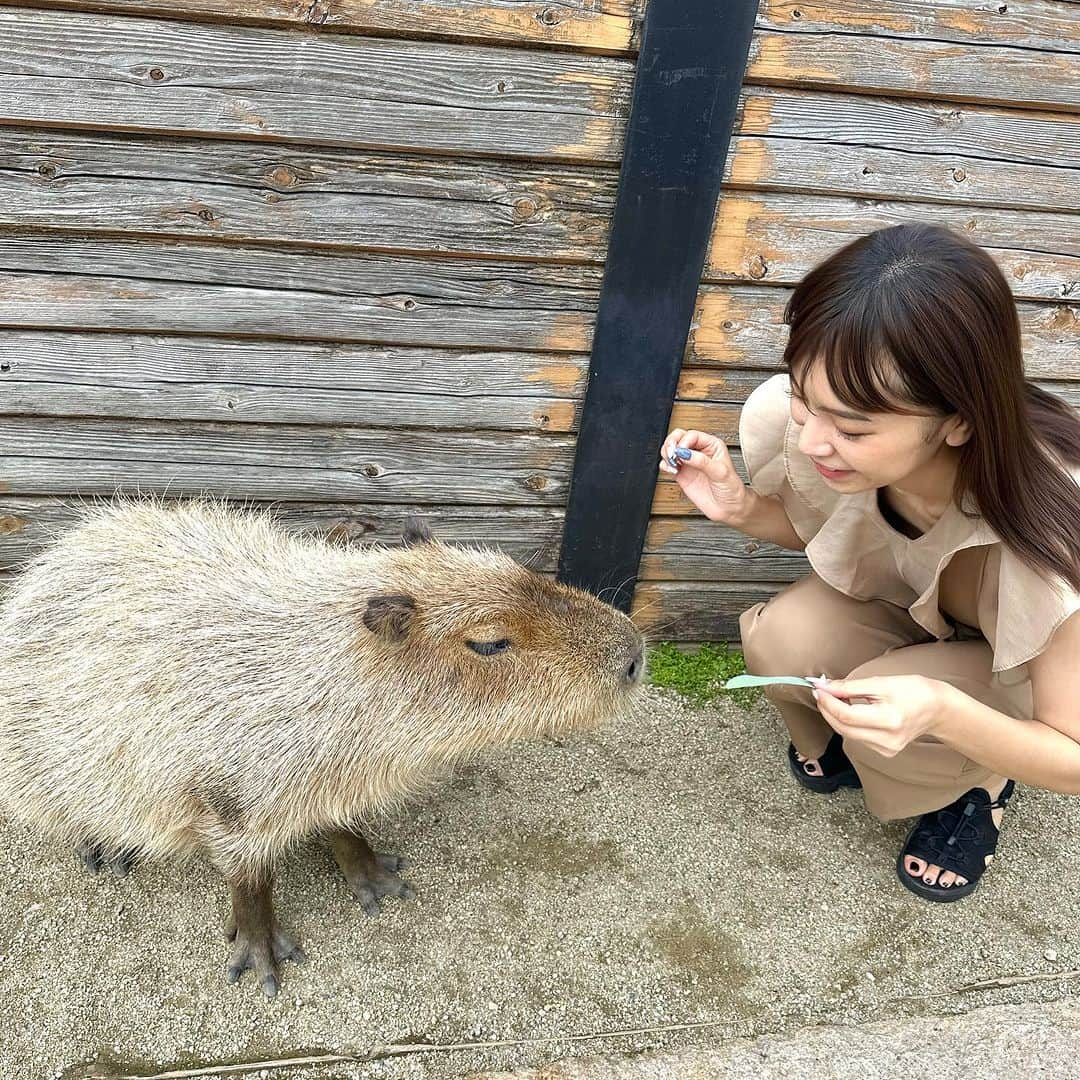 夏江紘実のインスタグラム