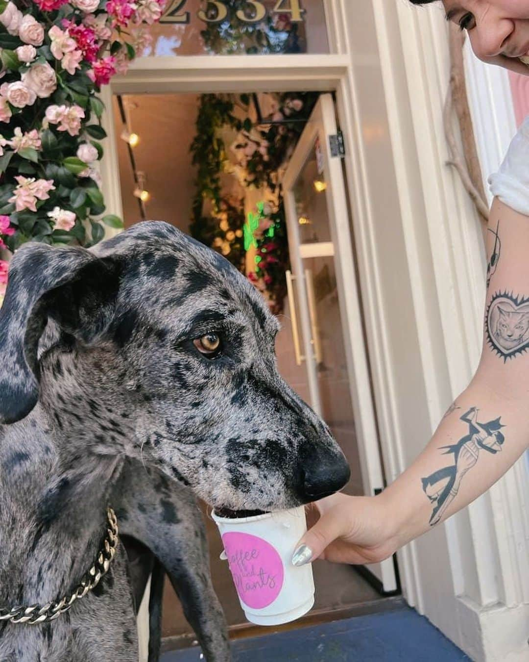 レオナ・ルイスさんのインスタグラム写真 - (レオナ・ルイスInstagram)「Proud to say my coffee shop is possibly THE most dog friendly place in town 🤍 @coffeeandplantsla #pupacino」9月26日 0時07分 - leonalewis