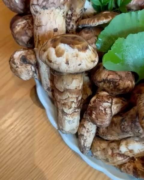 松久信幸のインスタグラム：「The King of Bhutan sent me matsutake mushrooms from Bhutan. Not only is it made in Japan, but the taste and aroma are as delicious as anything made in Japan. This is a matsutake mushroom that deserves to be introduced to the world. #jigmekhesarnamgyelwangchuck  #bhutan  #king #matsutake」