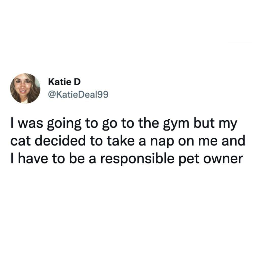 9GAGさんのインスタグラム写真 - (9GAGInstagram)「Pet > work out by KatieDeal99 | TW - #gym #cat #priorities #9gag」9月26日 1時43分 - 9gag