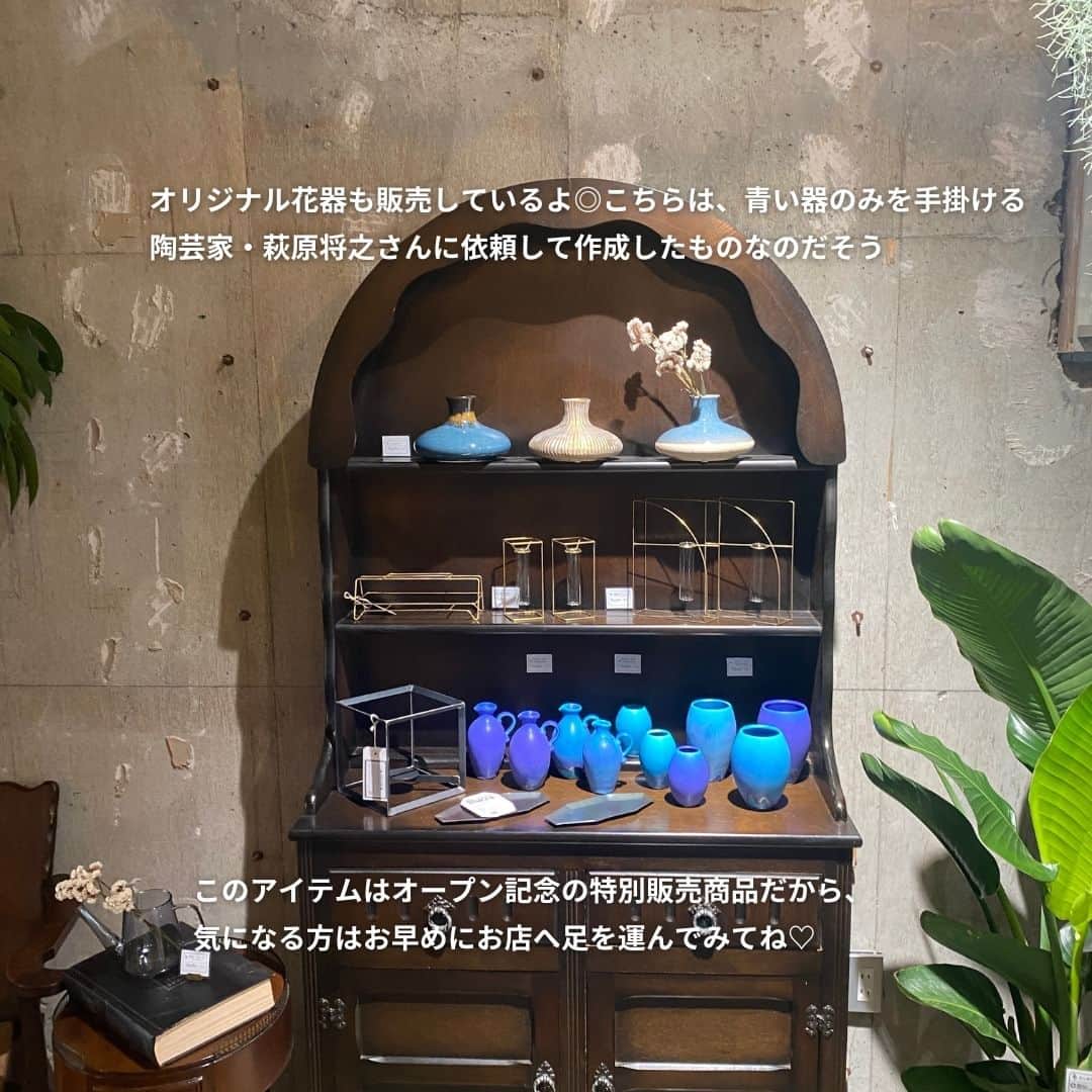 isutaさんのインスタグラム写真 - (isutaInstagram)「9月15日（金）、東京・蔵前にオープンした「febs coffee&scone Blucca（フェブズ コーヒー&スコーン）」。コーヒーやプリン、スコーンを使用したメニューが人気のカフェなんだって🍮   こちらのカフェは、浅草で人気のFebs coffee2号店、系列店としては5店舗目にあたる新店舗。カフェ巡りにぴったりな蔵前エリアへは、これが初出店なの！  グリーンショップが併設されていて、緑を感じる空間でゆったり時間を過ごせるのも魅力◎  今回はカフェの雰囲気やメニュー、併設されているショップについてご紹介するね！  @febs_blucca  [febs coffee&scone Blucca] 住所：東京都台東区寿3-5-9 営業時間：8:30～17:30（Food L.O. 17:00／Drink L.O. 17:30） 定休日：火曜日  ✄-----------------------✄  姉妹アカウント @i_am_isuta も更新中  isuta編集部の日常のひとコマや 取材の最新レポを発信しているよ️˖°  ほかにも、エディターが気になる カフェやファッション、コスメをご紹介.・* ぜひフォローしてね️  ✄-----------------------✄  #isuta#isutapic#イスタ#febscoffeeandsconeblucca #アンヴェール#蔵前#蔵前カフェ#蔵前ランチ #蔵前グルメ#蔵前さんぽ#蔵前カフェ巡り #東京カフェめぐり#都内カフェ巡り #東京カフェ部#スコーン部#プリン部 #ウッドインテリア#自然を感じる #ボタニカルカフェ#観葉植物好き#サボテン好き#花器 #植物販売#グリーンショップ#カフェ部#カフェ活 #カフェスタグラム#カフェ時間#カフェ巡り#カフェ活」9月26日 12時40分 - isuta_jp