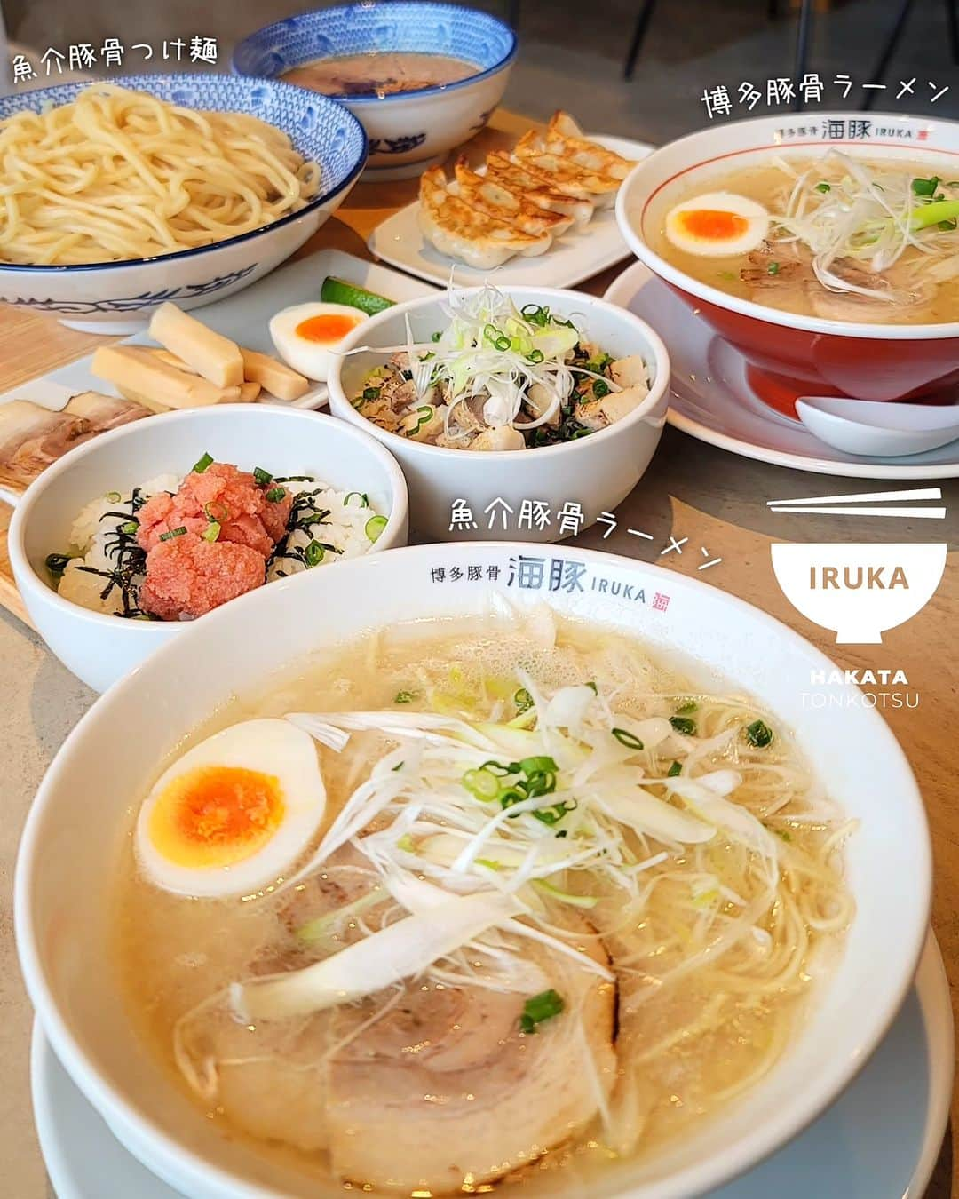 石関友梨のインスタグラム：「新OPEN！輝くIRUKAラーメン✨美味しかった〜😋💓⁡ ⁡⁡ ⁡北高崎駅から徒歩2分Seriaさん隣、そうあの店舗です！美味しいラーメン店がOPENしました💐⁡ ⁡⁡⁡ 店内もお洒落でかつシンプルで綺麗⁡⁡ ⁡しかも通し営業って言うのも嬉しいね♥ ⁡ ⁡博多豚骨・魚介豚骨⁡ ⁡海と豚ってことで海豚(イルカ)⁡ ⁡⁡ 濃厚なのにすっきりとしていて⁡ ⁡豚骨臭さもなくただ旨み旨み旨み〜！⁡⁡ ⁡⁡ 近年マツコの部屋でも取り上げられてたように群馬のラーメンのレベルが高すぎて⁡感動しっぱなしです✨ ⁡⁡ ⁡是非食べに行ってみてね！⁡⁡ ⁡ ⁡⁡⁡ ⁡【博多豚骨 海豚 IRUKA】@iruka_takasaki ⁡群馬県高崎市飯塚町 742-1⁡ ⁡営業時間 11:00-21:00 ⁡ ⁡定休日  水曜⁡  駐車場有り ⁡⁡ ⁡ #IRUKA #博多豚骨ラーメン #北高崎駅 #高崎グルメ #高崎ラーメン #群馬ラーメン #群馬グルメ #イルカ  #海豚 ⁡」