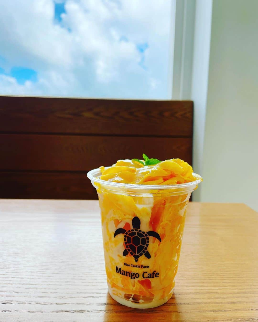 倉田瑠夏さんのインスタグラム写真 - (倉田瑠夏Instagram)「Mango Cafe🧡  ここの削りマンゴーが美味しすぎた🥹✨✨♡  #blueturtle #🥭 #blueturtlefarm #mangocafe #miyakojima #ブルータートル #マンゴーカフェ #宮古島 #宮古島旅行 #ig_japan #instatravel #travel #instago #japanesegirl #여행스타그램 #여행에미치다 #旅行 #旅行コーデ #南国コーデ #宮古島グルメ #宮古島カフェ #カフェ巡り #マンゴー #映えスポット #맛집 #好吃 #我的最愛 #扎心了 #얼스타그램 #japanadventure」9月26日 12時26分 - ruka.kurata