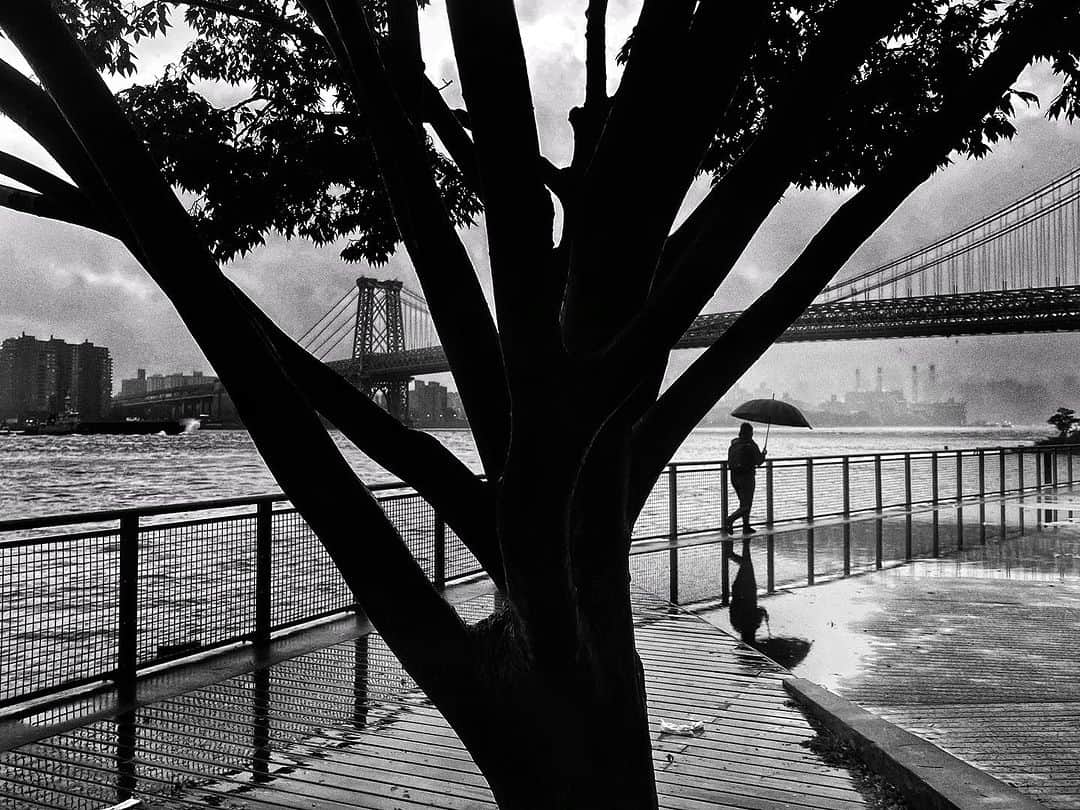 のインスタグラム：「There are still days that I love photography. It is deep and real. It has been a complicated relationship since I had COVID-19 the first week of March 2020 which made the world slow down and me along with it. I have been so busy since moving to Brooklyn in 1992 that I have had little to no time to reflect, or more likely, the desire to look inward and see what I might see. Success? Failure? Happiness?  Photography is ideal as a self-care practice because it happens in the present moment. Exactly why photography matters, is because it is a way to experience the world, to be present. As Garry Winogrand is often credited with saying, on why he made pictures, ".......to see what the world looks like in a photograph." For me, it is that and the process of being inside and alone with myself, which sometimes is a hard place for me to be. People who know me well, understand this. Depression is "living in" & dealing with the past, worrying about things you can't change. Anxiety is "living in" the future & worrying about things you can't control. The "job" has made me develop the ability to go, see, photograph, and return. I find myself wishing I could go back and change some of my professional choices, but I can't. Like an addict, it is one day at a time, trying to stay centered and less reactionary, working more from within.」