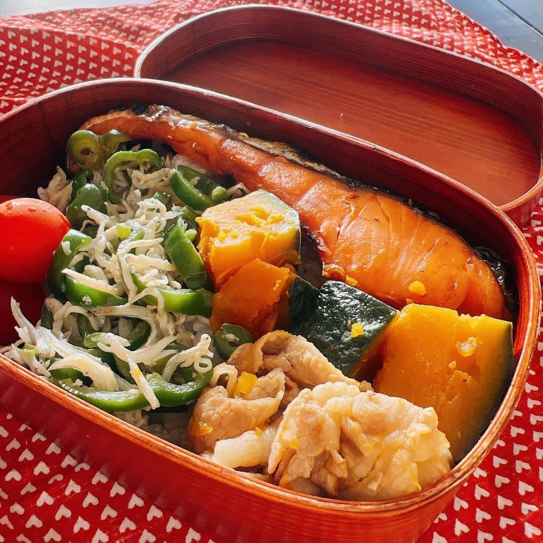 木村多江さんのインスタグラム写真 - (木村多江Instagram)「今日の 家族の お弁当。  秋は かぼちゃや 栗の料理を したくなります。  さあ、 心ゆるめて  いってらっしゃい。 行ってきます😊」9月26日 8時30分 - taekimura_official