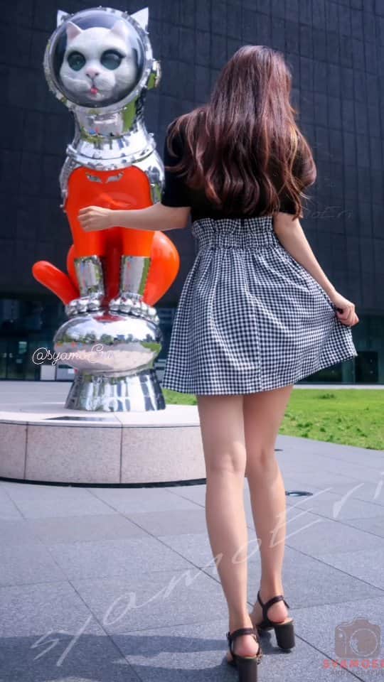 のインスタグラム：「おはよー⛅ 変なネコちゃんもリールにしてみた📸  これの全編と限定写真は７月のファンティアに載せてるよ💕 peace✌️  限定動画📽️と写真📸はプロフィールのリンクから観れるよ💕 インスタのサブスクには限定のストーリーやおまけを投稿してるよ📸🎶  #portrait_shots #カメラ女子 #photography #ポートレート #peace」