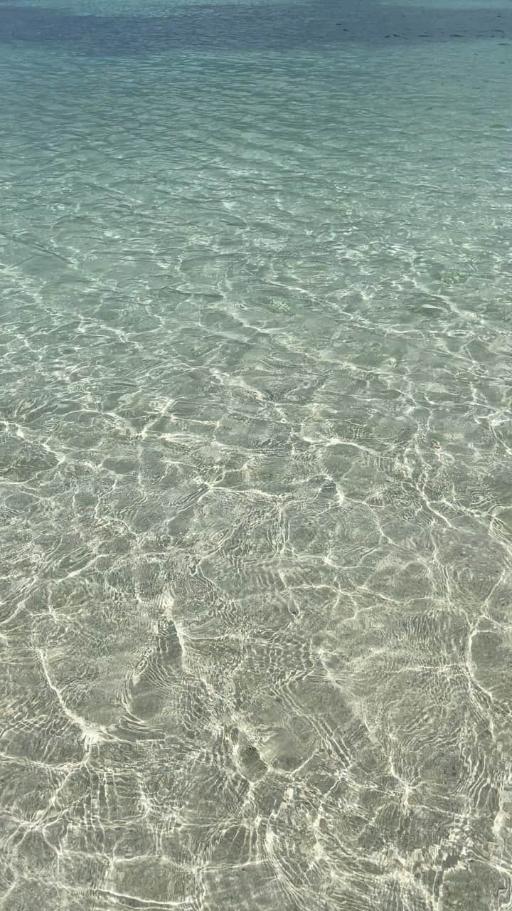 姫歌ひな乃のインスタグラム：「🏝️  #竹富島　#trip」