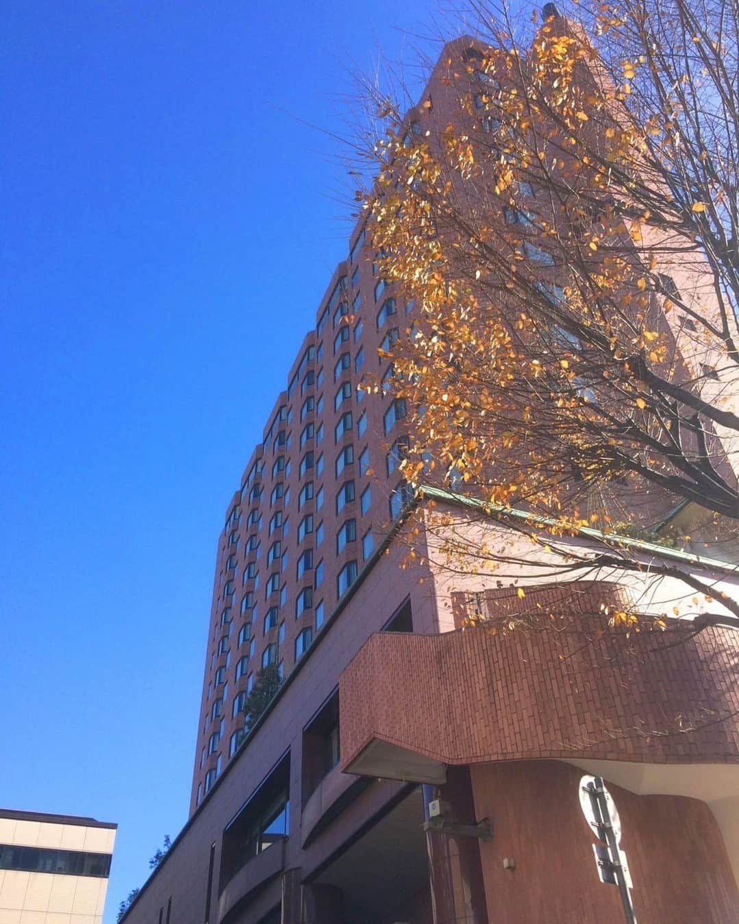 東急ホテルズのグルメインスタ